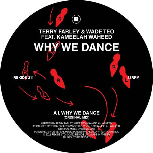 Terry Farley - Why We Dance Vinyl Record