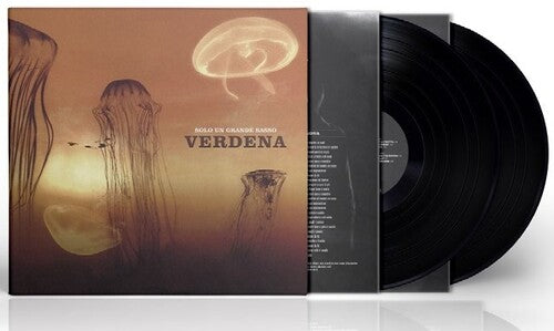 Verdena - Solo Un Grande Sasso Vinyl Record