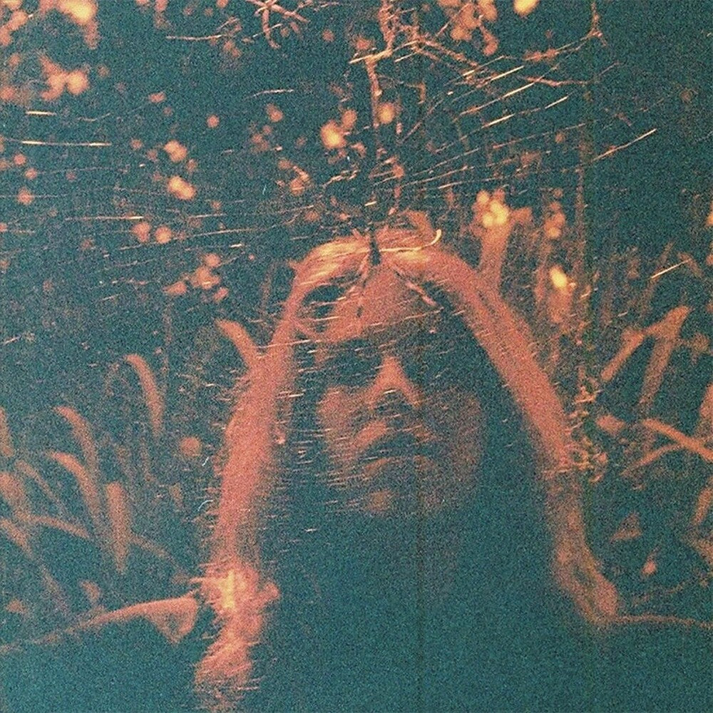 Turnover - Peripheral Vision [Colored Vinyl] [Clear Vinyl] (Org) (Can) Vinyl Record