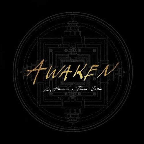 Harris,lee / Bozic,davor - Awaken - Gold - Vinyl Record