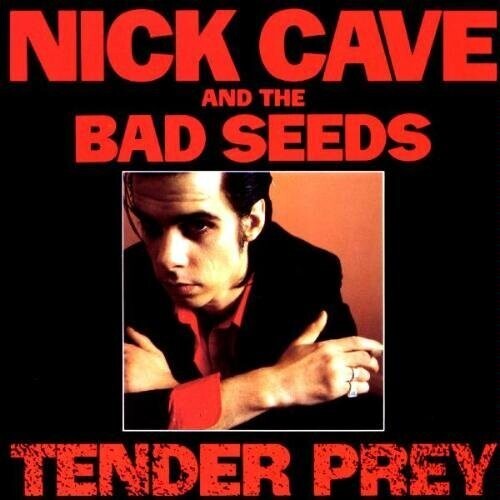 Cave,nick & Bad Seeds - Tender Prey - Vinyl Record