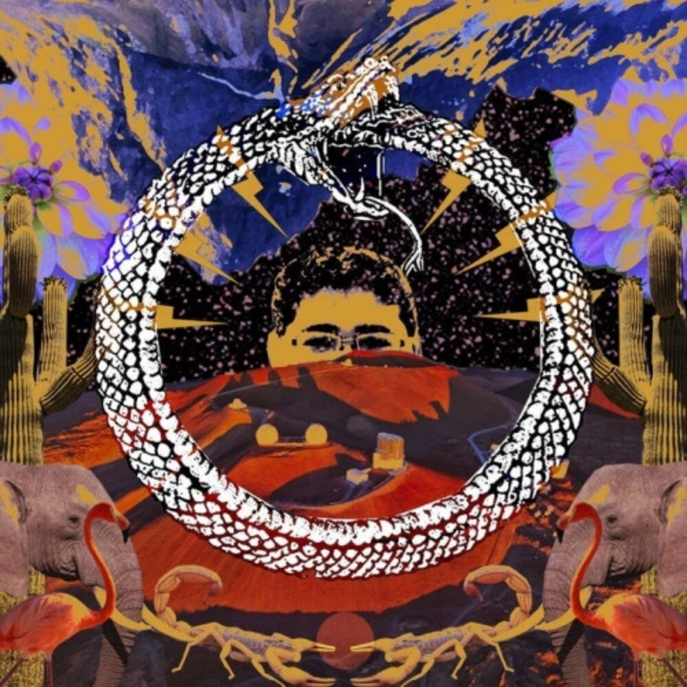 Stone House on Fire - Neverending Cycle [LP] Vinyl Record