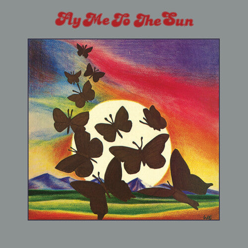Fly Me To The Sun Vinyl Record