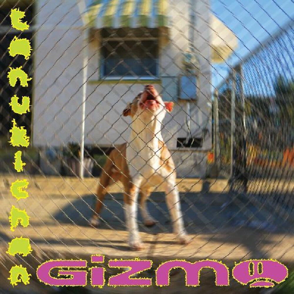 the album cover for Tanukichan - Gizmo