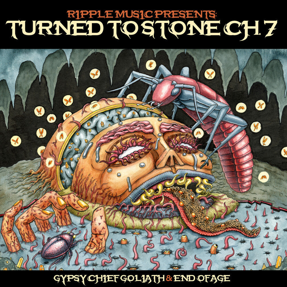 Turned To Stone: Chapter 7 [LP] Vinyl Record