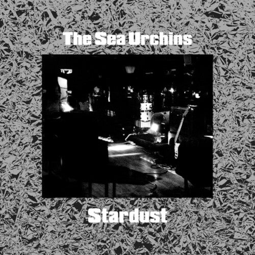 Stardust Vinyl Record
