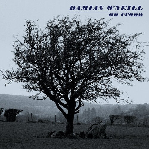 Damian O'Neill - An Crann Vinyl Record