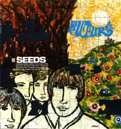 The Seeds - Future Vinyl Record