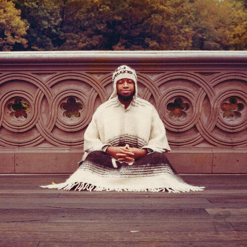 Laraaji - Segue To Infinity - Vinyl Record