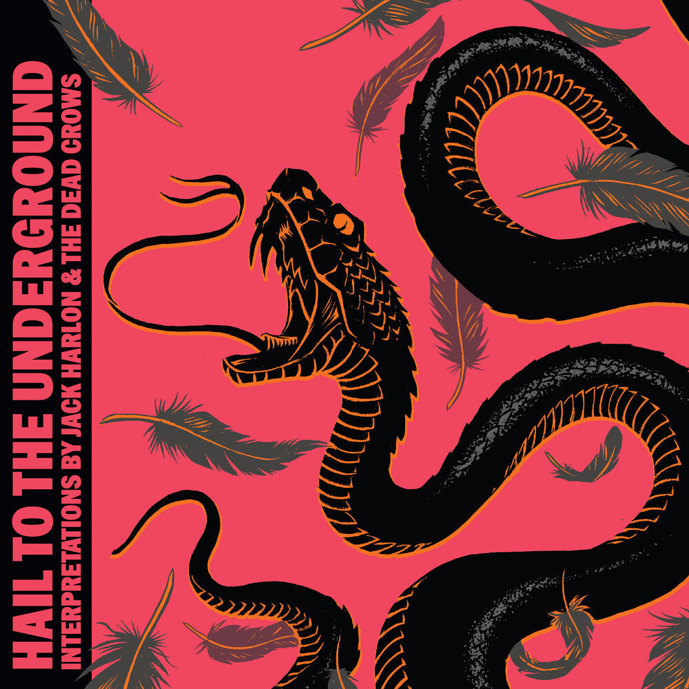 Hail To The Underground [LP] Vinyl Record
