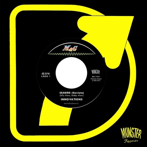 Innovations - Seabird Vinyl Record