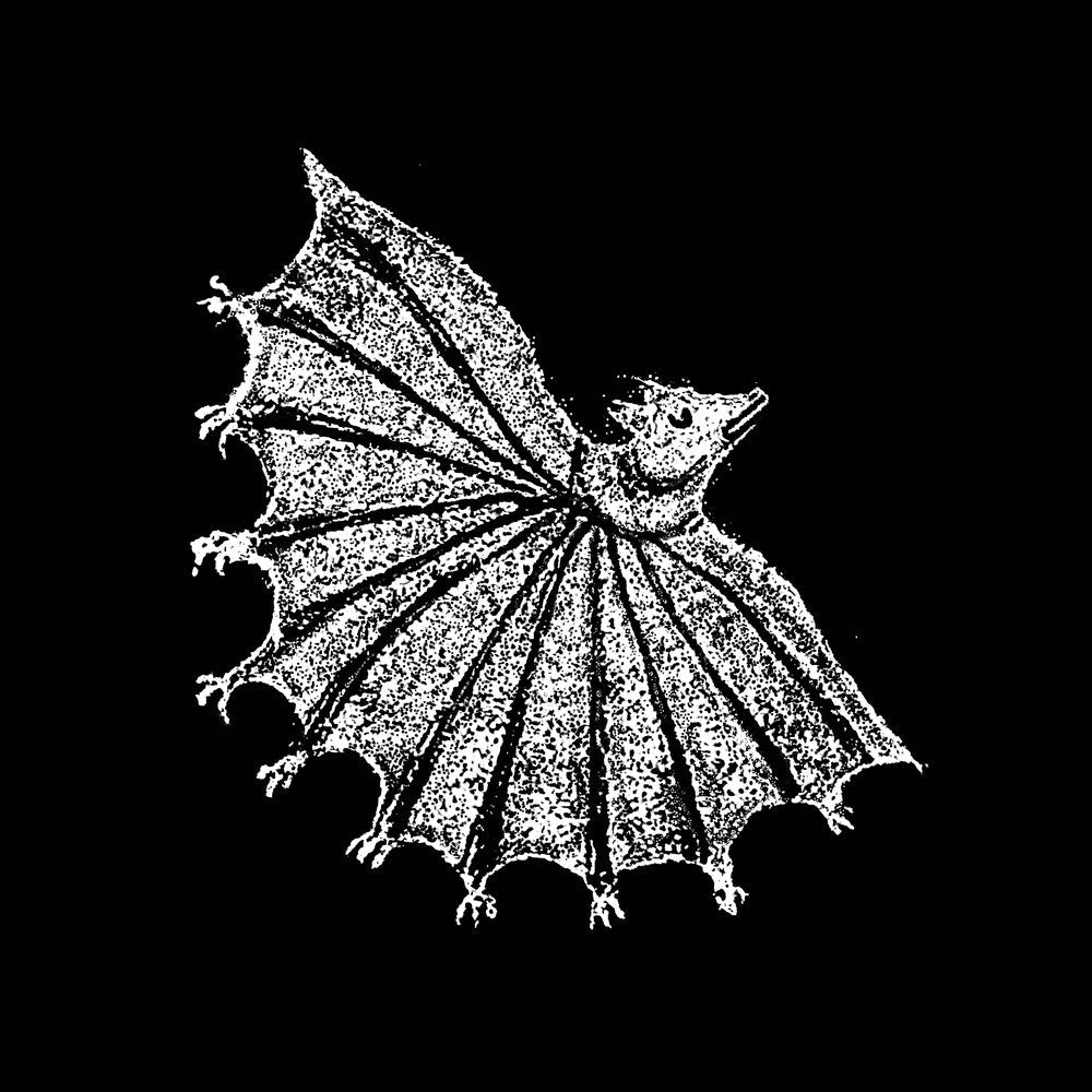 Ignore Grief [Silver Ghost LP] Vinyl Record