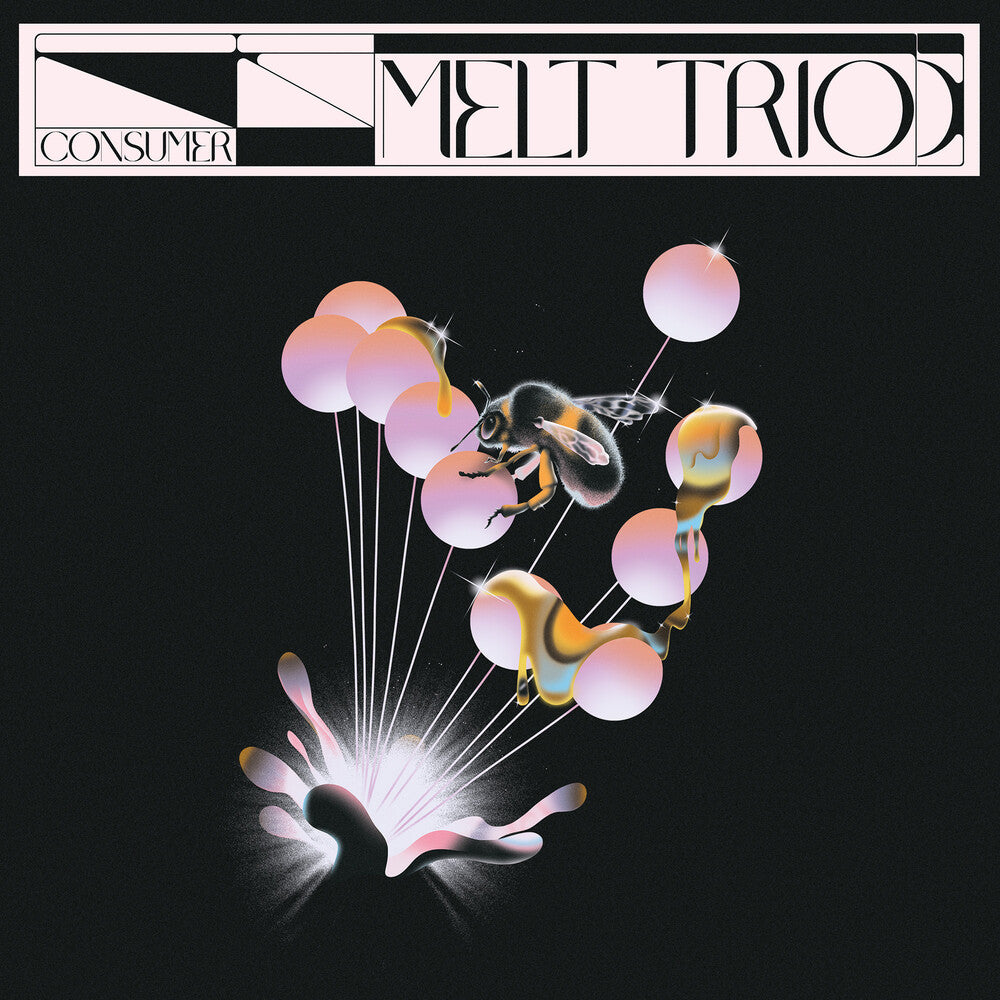 the album cover for Melt Trio - Consumer