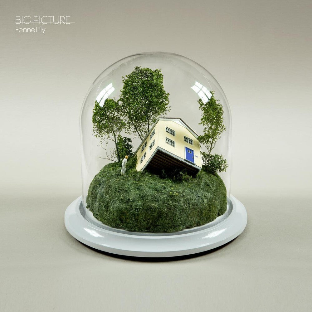 Big Picture [Ultramarine LP] Vinyl Record