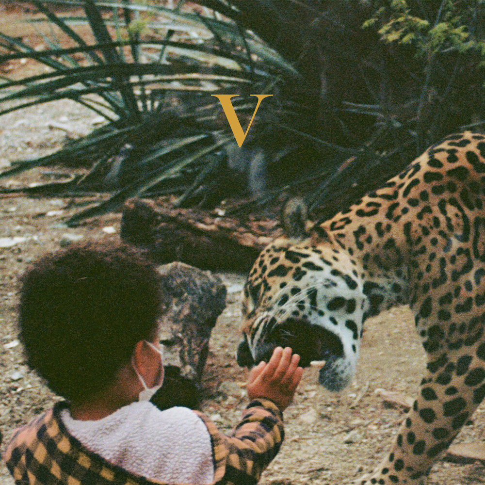 Unknown Mortal Orchestra - V [2LP] Vinyl Record