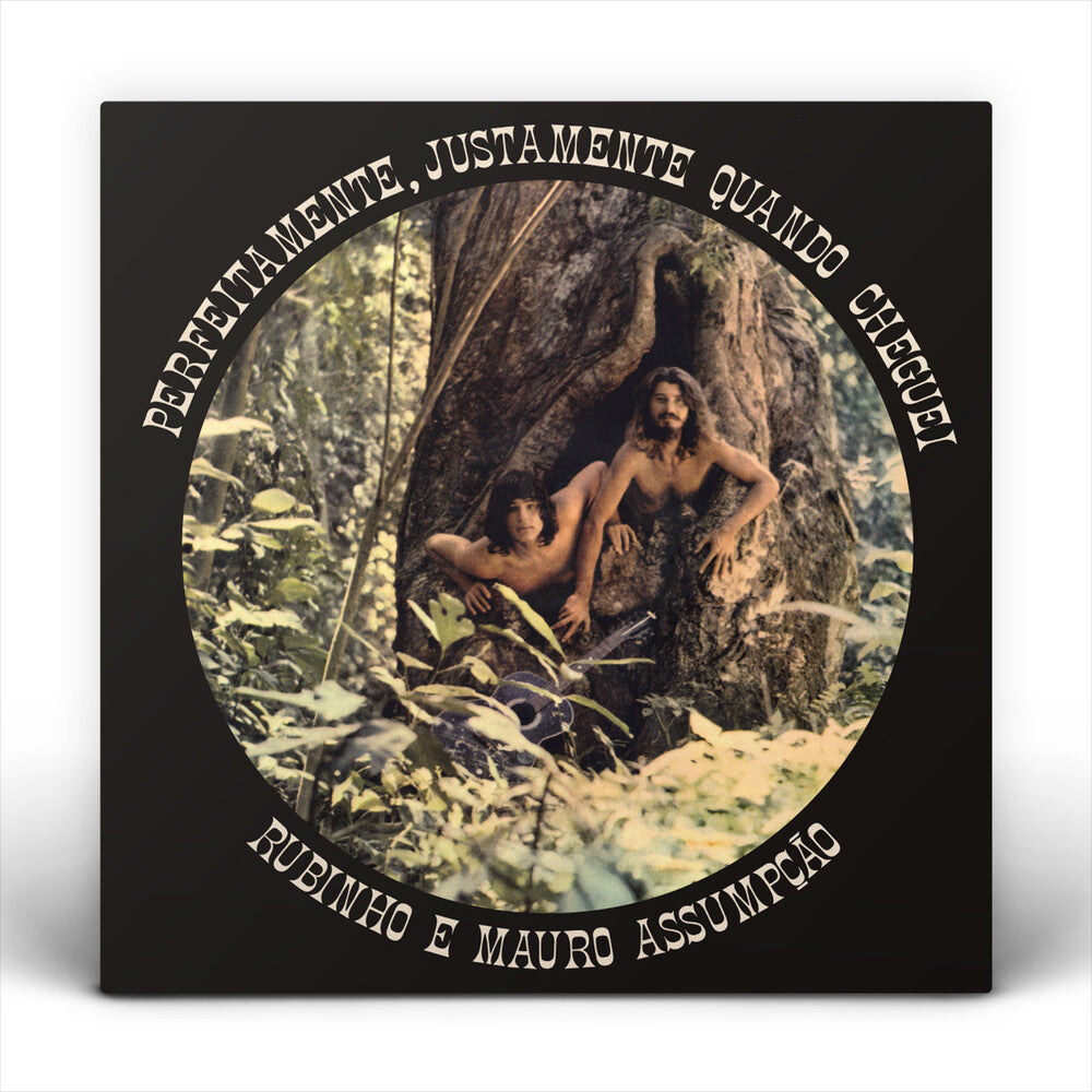 Perfeitamente Justamente Quando Cheguei [LP] Vinyl Record