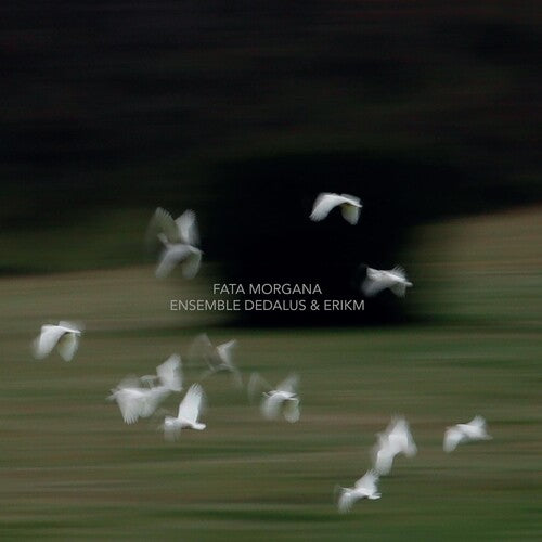 Ensemble Dedalus - Fata Morgana - Music CD