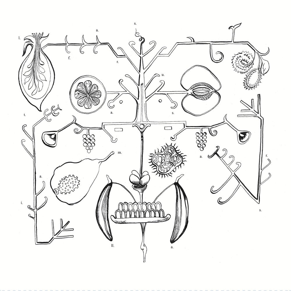 Aa Tigre - Las Frutas Amarilla [LP] Vinyl Record