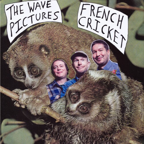 The Wave Pictures - French Cricket Vinyl Record