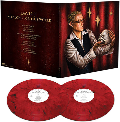 David J - Not Long For This World Vinyl Record