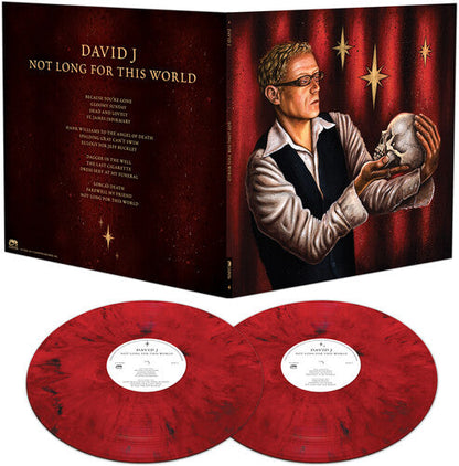 David J - Not Long For This World Vinyl Record
