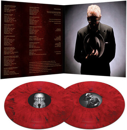 David J - Not Long For This World Vinyl Record