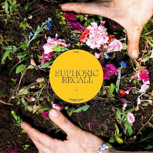 Braids - Euphoric Recall Vinyl Record