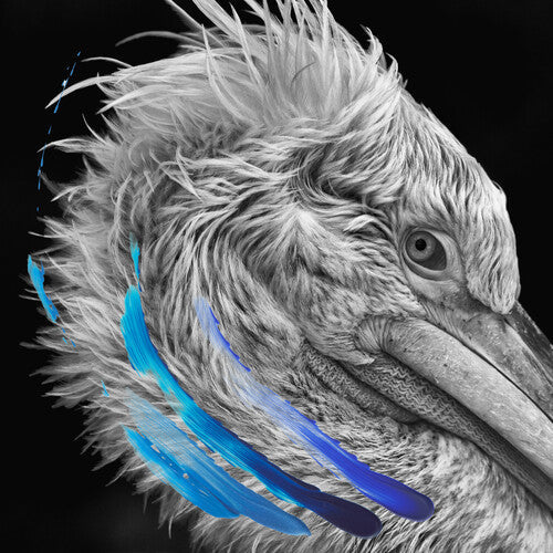 Lies - Lies [2LP Metallic Silver] Vinyl Record