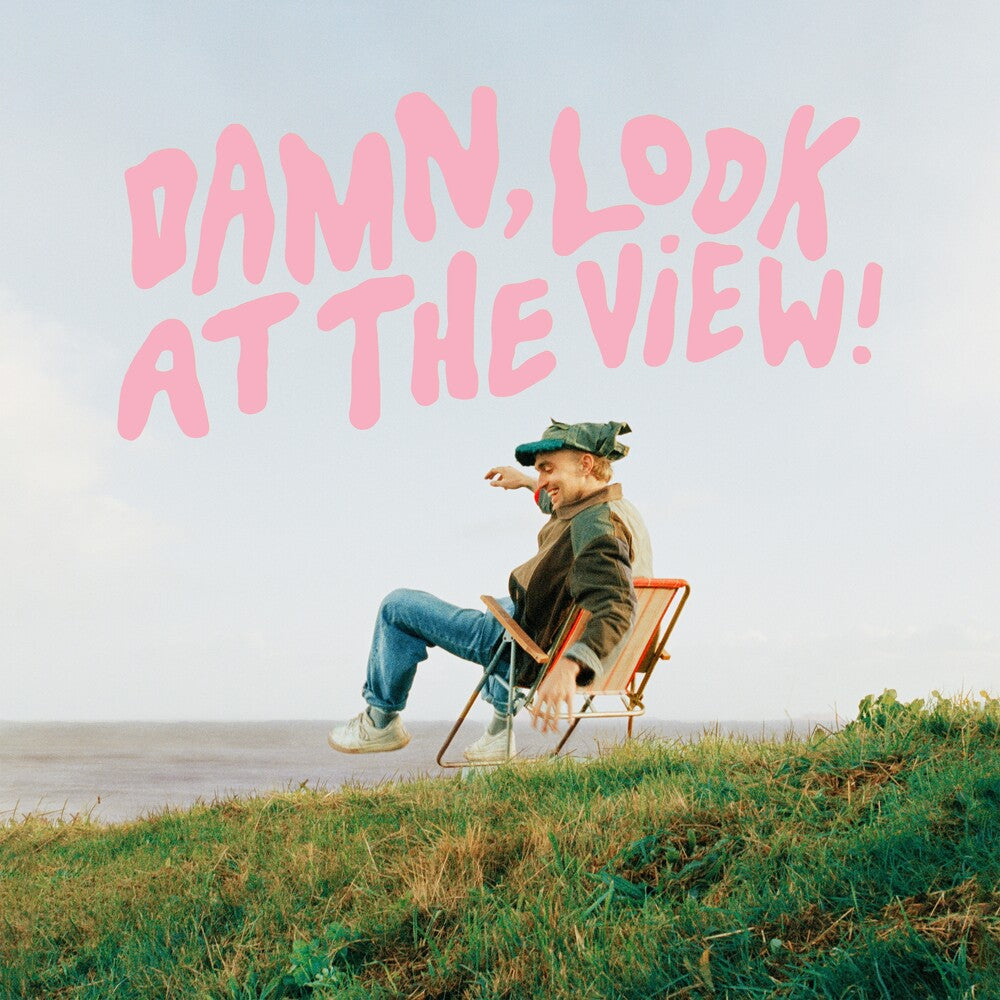 Martin Brown - Damn Look At The View [LP] Vinyl Record