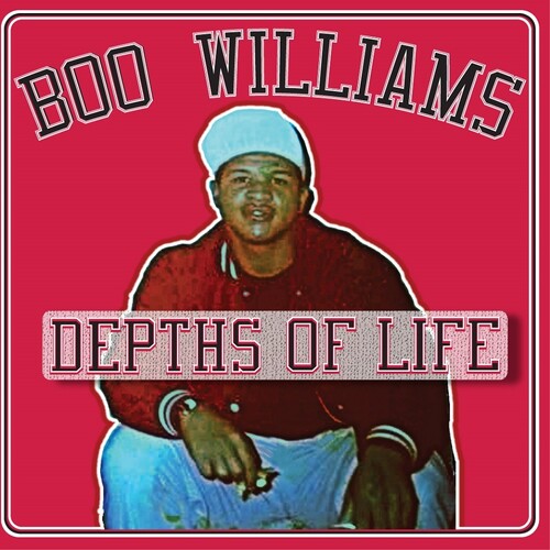 Boo Williams - Family Affair Vol. 1 (Various Artists) Vinyl Record