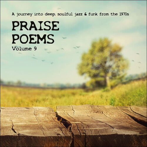 Praise Poems Vol. 9 / Various Vinyl Record