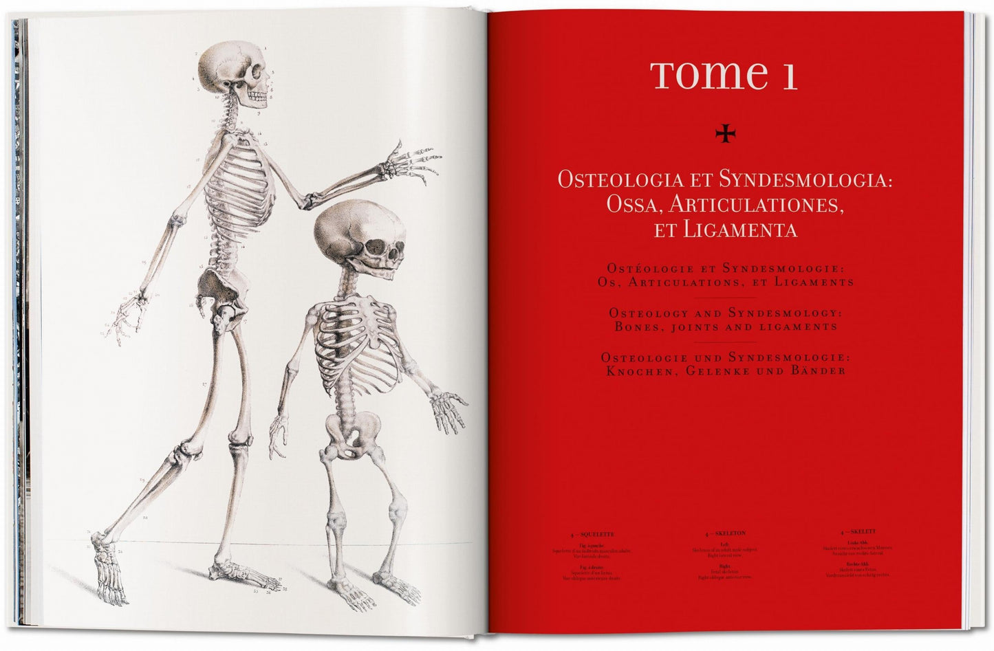 Bourgery. Atlas of Human Anatomy and Surgery (German, French, English) Book