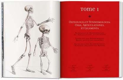 Bourgery. Atlas of Human Anatomy and Surgery (German, French, English) Book