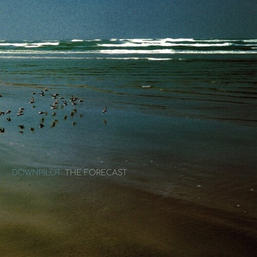 Downpilot - The Forecast Vinyl Record