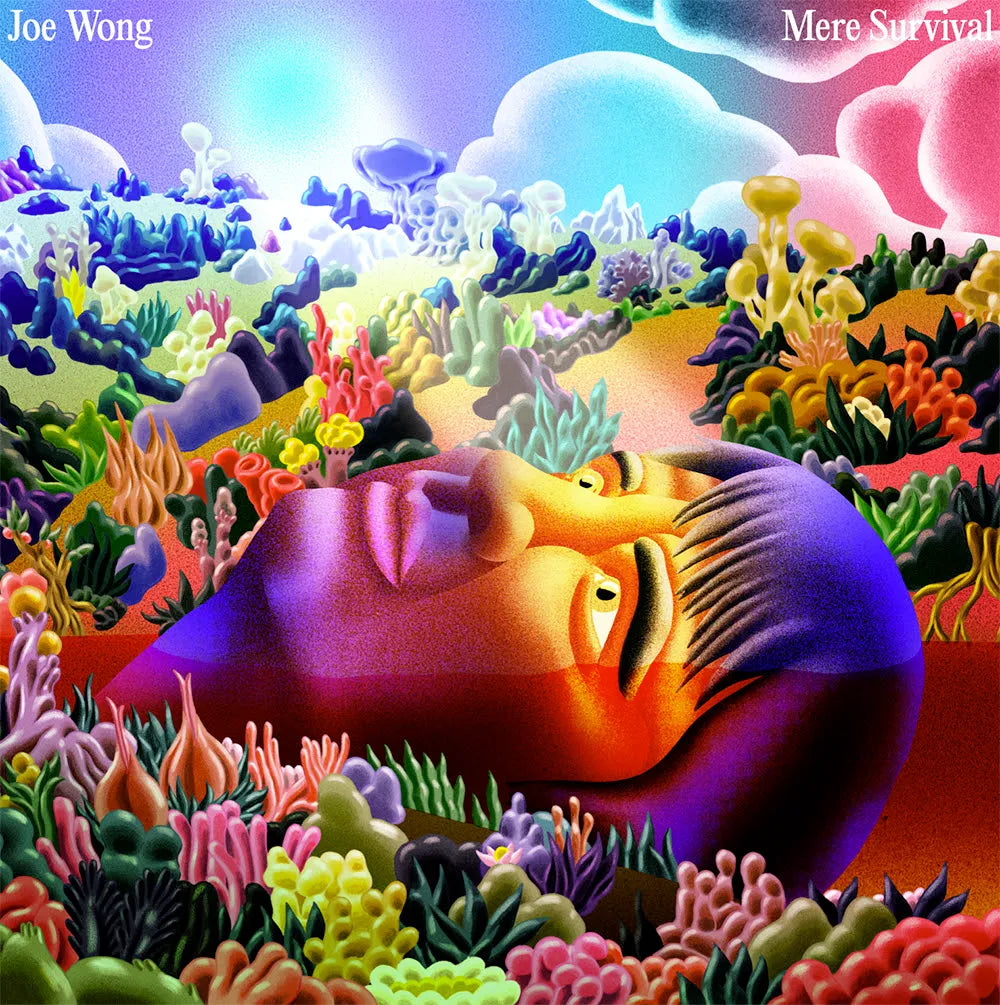 Mere Survival [LP] Vinyl Record