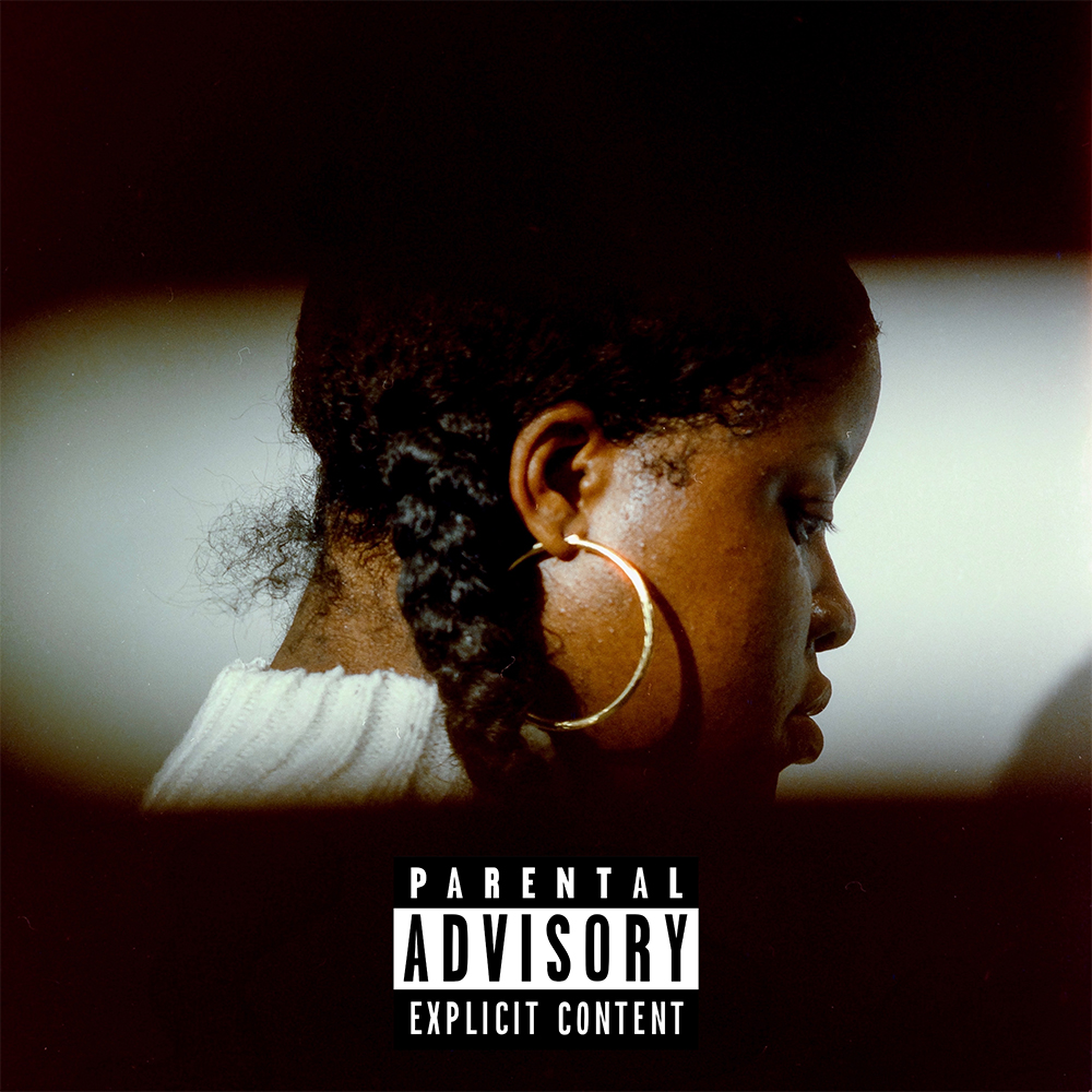 No Validation [LP] Vinyl Record