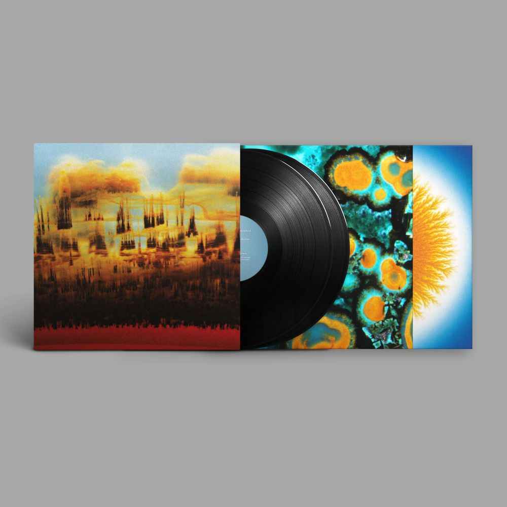 Pre-Order: Distance in Static [Black] Vinyl Record