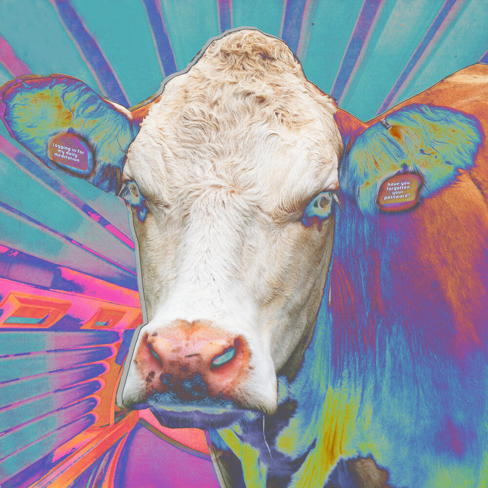 Eye Of Others - Eyes Of Others [LP] Vinyl Record