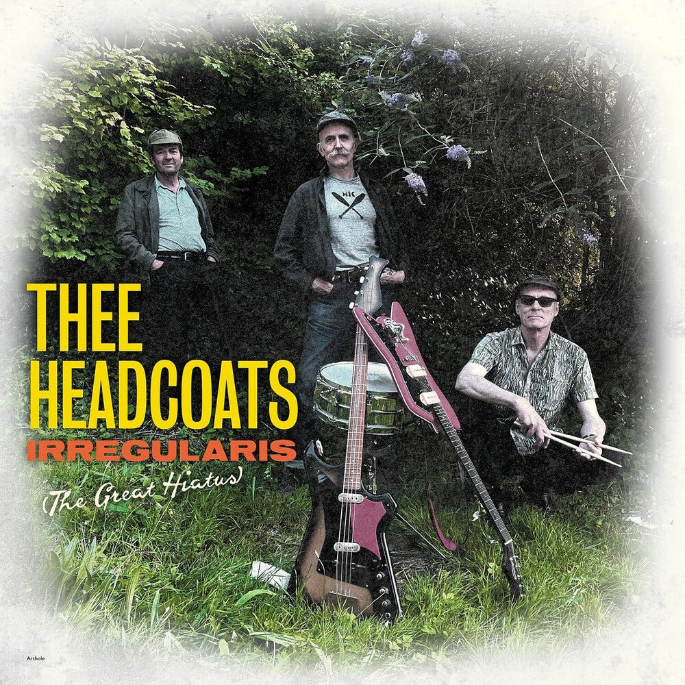 Irregularis: The Great Hiatus [LP] Vinyl Record