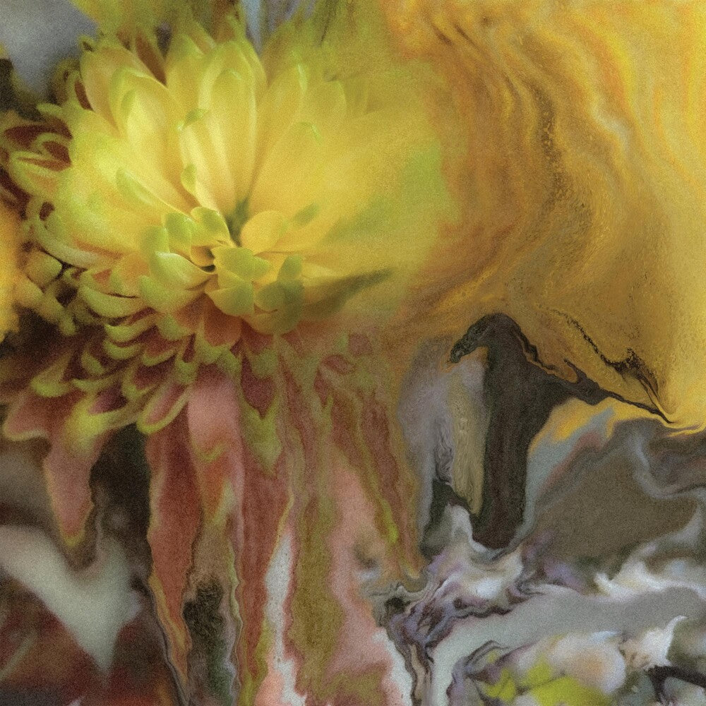 the album cover for Parker Millsap - Wilderness Within You