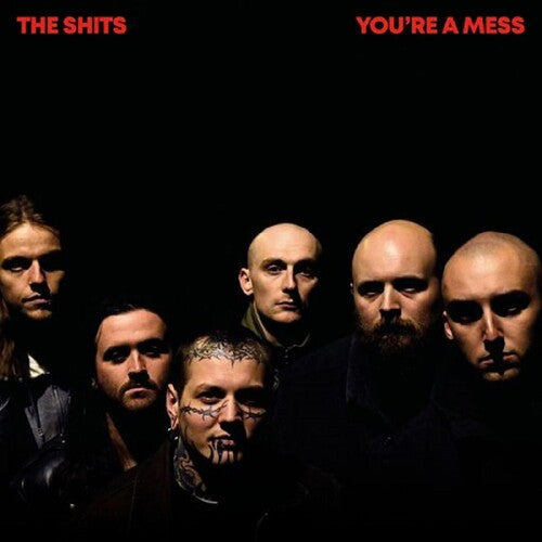 Shits - You're A Mess Vinyl Record