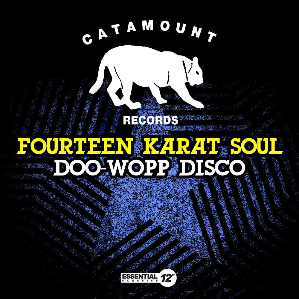 the album cover for Fourteen Karat Soul - Doo-Wopp Disco (Mod)