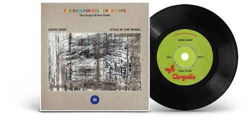 David Gray - The Endless Coloured Ways: The Songs of Nick Drake [7-inch] Vinyl Record