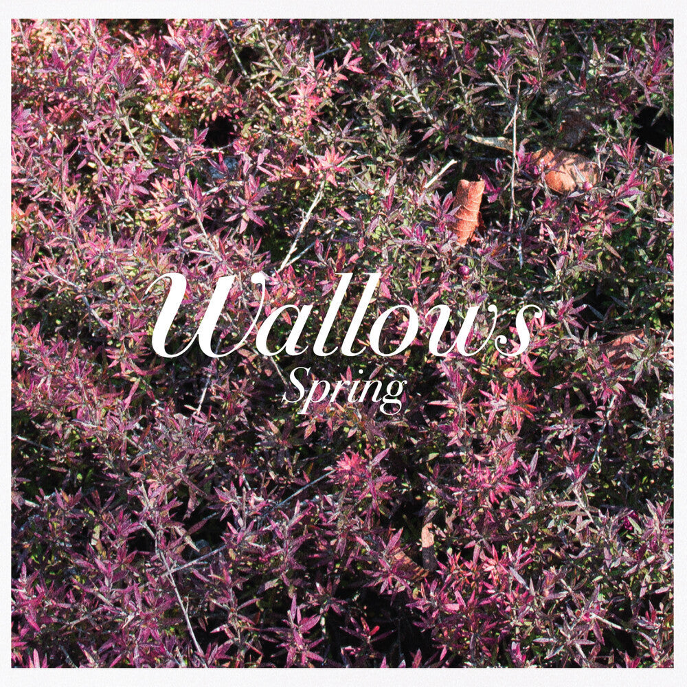 Spring (Mod) Music CD
