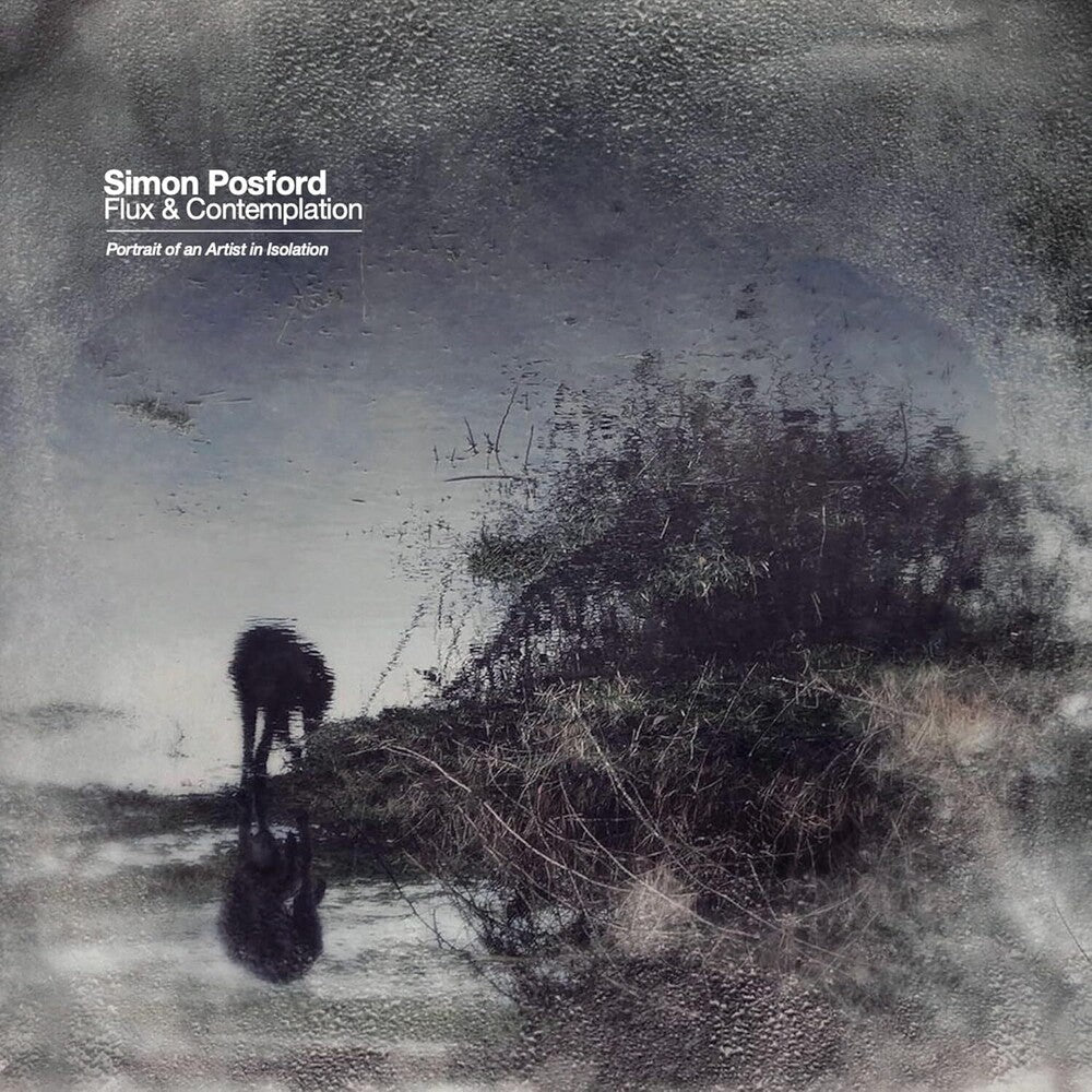 Simon Posford - Flux & Contemplation: Portrait Of An Artist In Isolation [2 LP] Vinyl Record