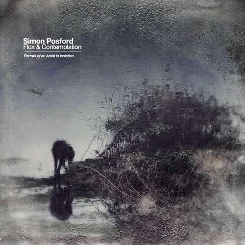 Posford,simon - Flux & Contemplation: Portrait Of An Artist In - Vinyl Record