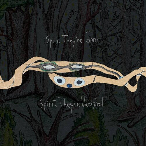 Animal Collective - Spirit They're Gone Spirit They've Vanished Vinyl Record