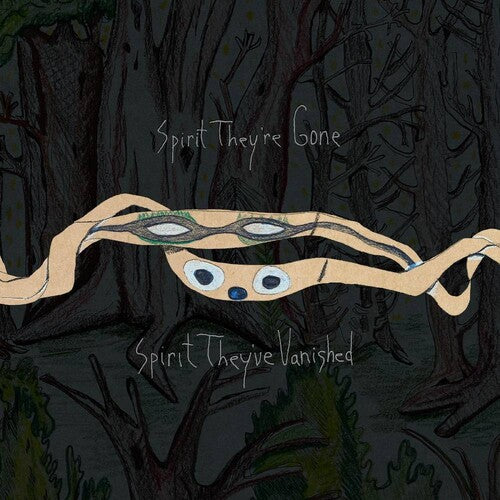 Animal Collective - Spirit They're Gone Spirit They've Vanished - Vinyl Record