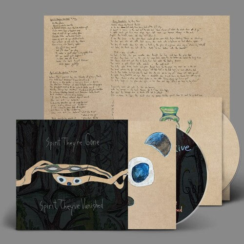 Animal Collective - Spirit They're Gone Spirit They've Vanished - Music CD