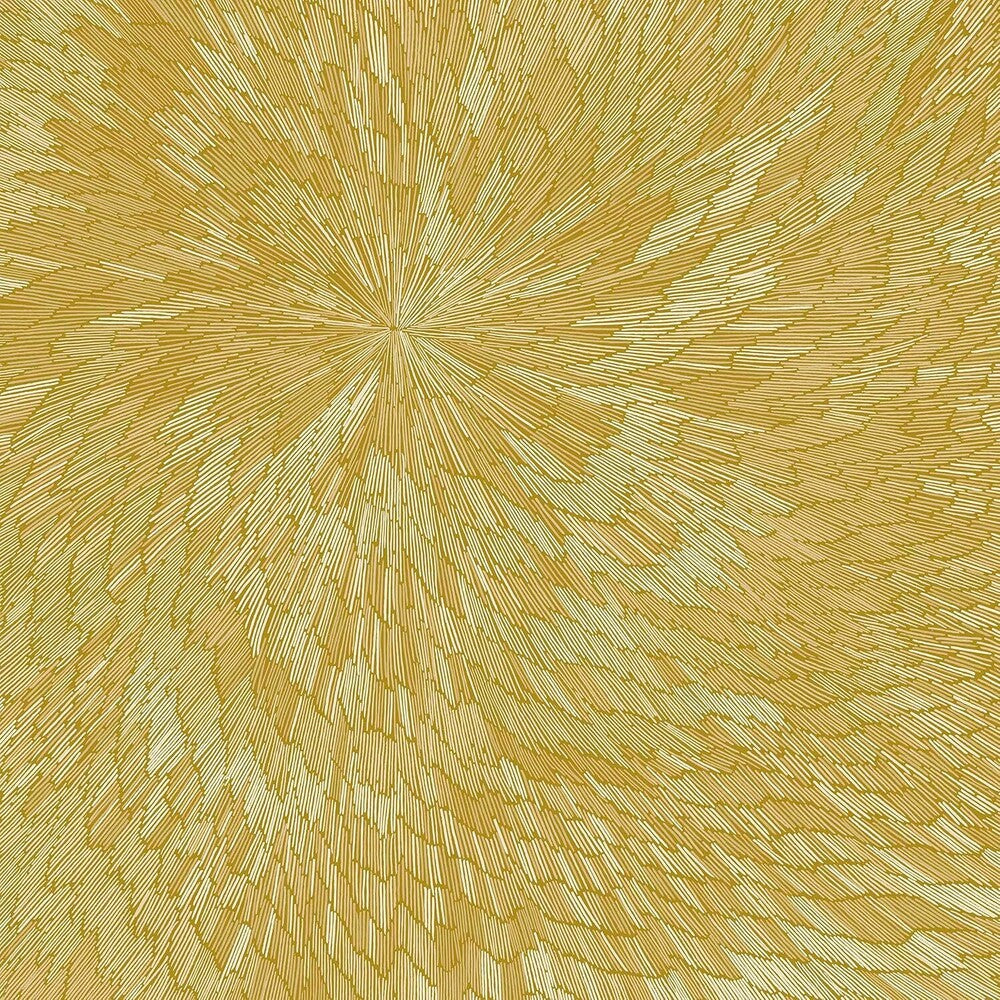 the album cover for Pjev / Kit Downes  / Chisholm,Hayden - Medna Roso